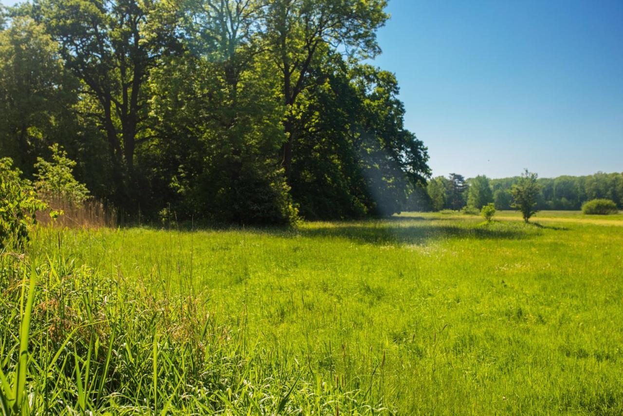 Palac Krobielowice Katy Wroclawskie Bagian luar foto